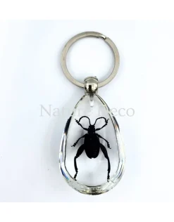 Insecten sleutelhanger #5