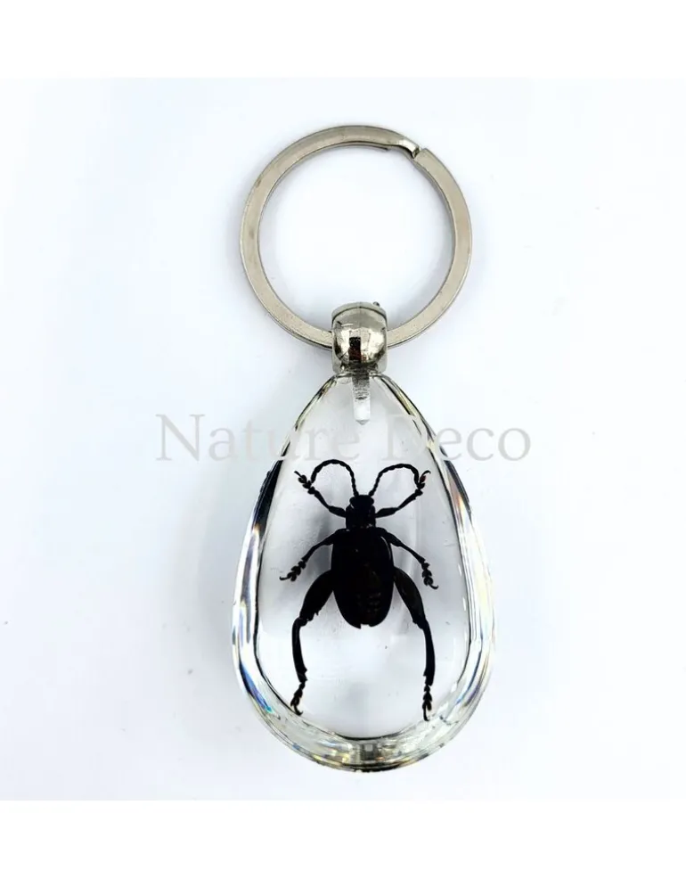 Insecten sleutelhanger #5