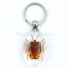 Insecten sleutelhanger #2