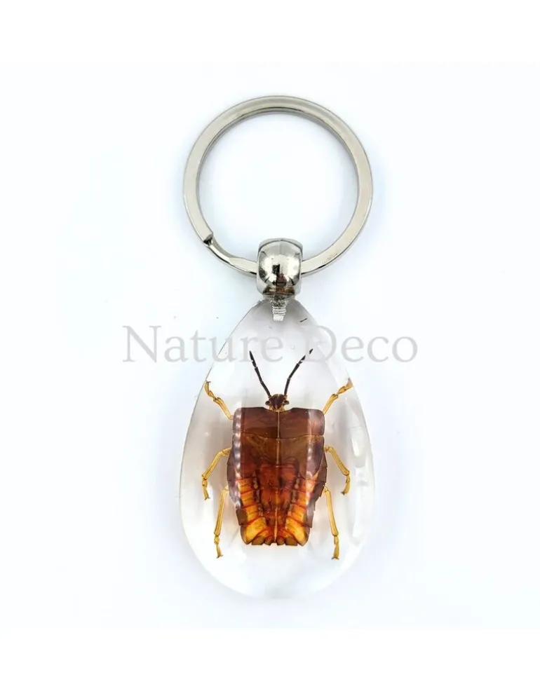 Insecten sleutelhanger #2