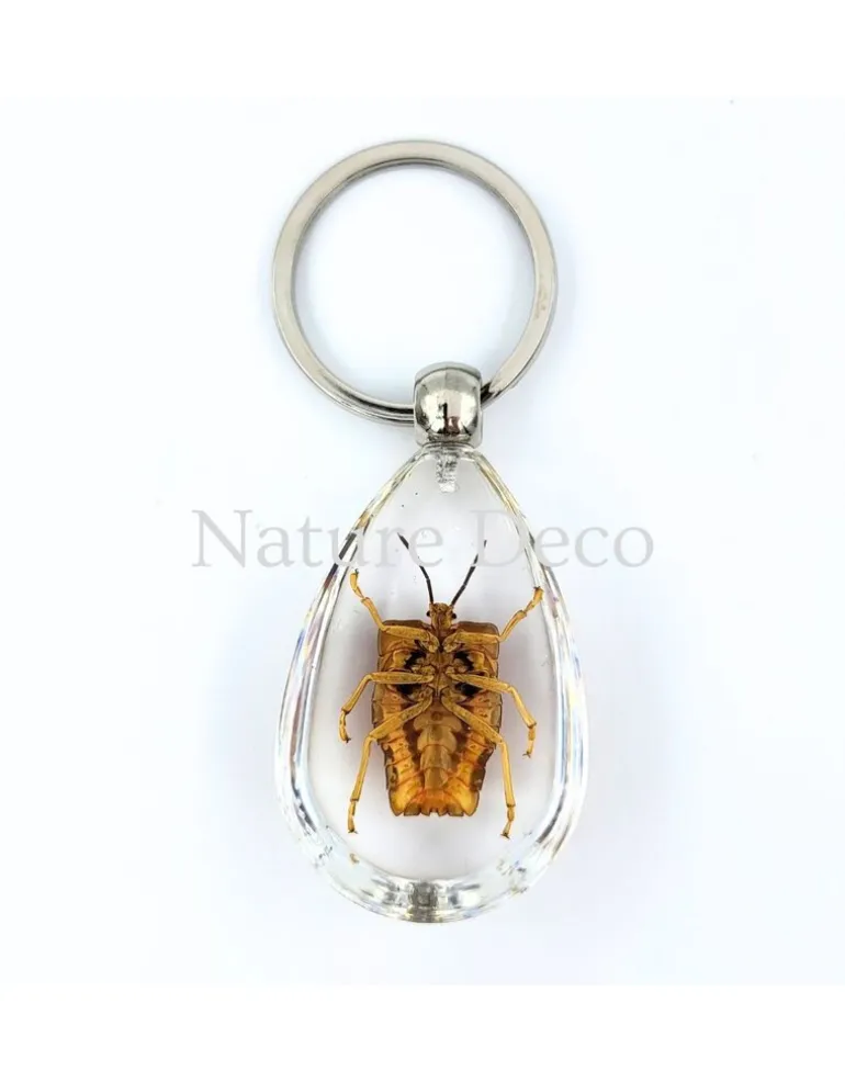 Insecten sleutelhanger #2