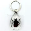 Insecten sleutelhanger #11