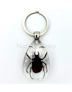 Insecten sleutelhanger #11