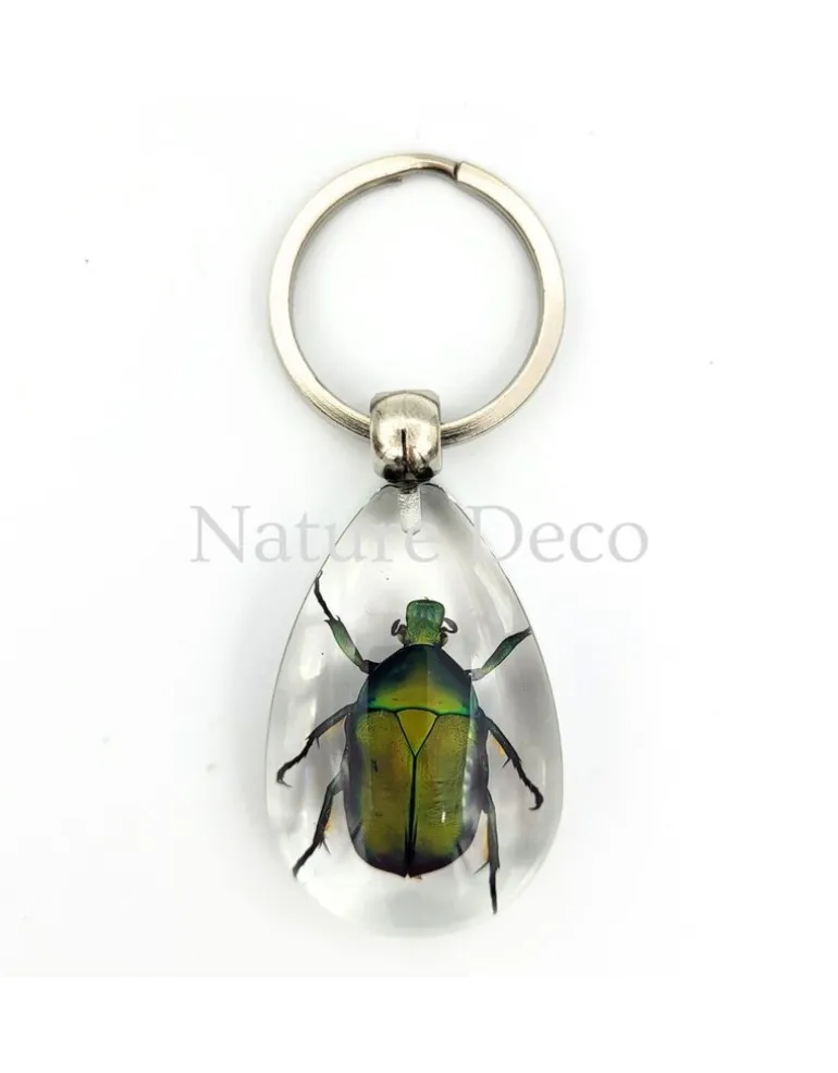 Insecten sleutelhanger #10