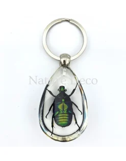 Insecten sleutelhanger #10