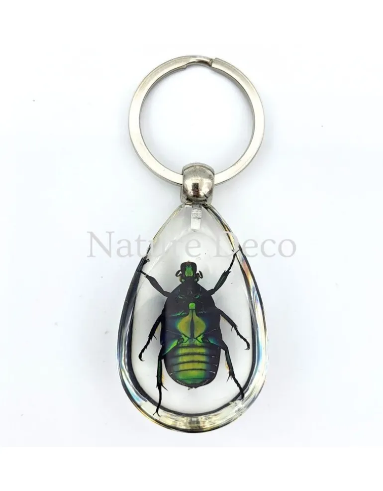 Insecten sleutelhanger #10