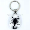 Insecten sleutelhanger #3