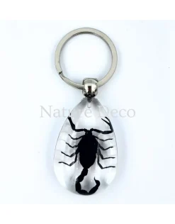 Insecten sleutelhanger #3