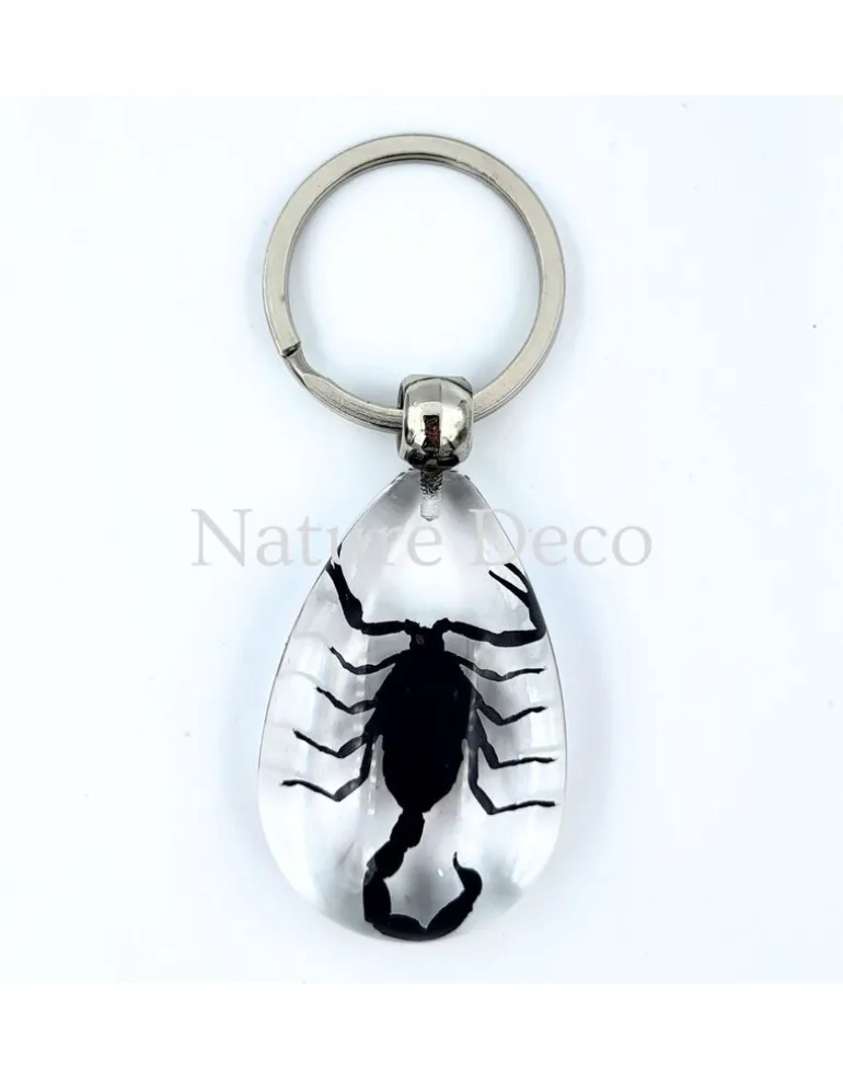 Insecten sleutelhanger #3