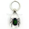Insecten sleutelhanger #9