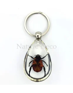 Insecten sleutelhanger #9