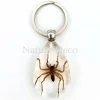 Insecten sleutelhanger #7