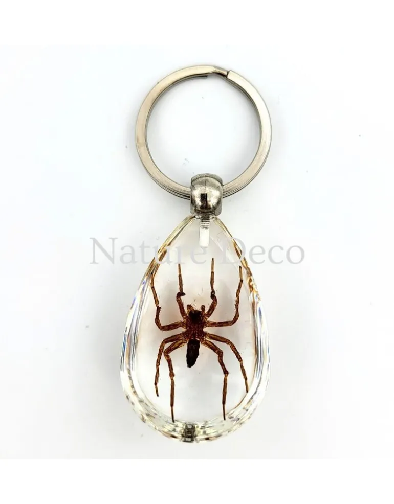 Insecten sleutelhanger #7