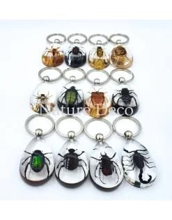 Insecten sleutelhanger #7
