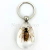 Insecten sleutelhanger #8