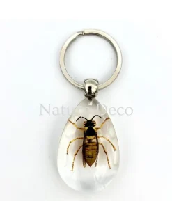 Insecten sleutelhanger #8