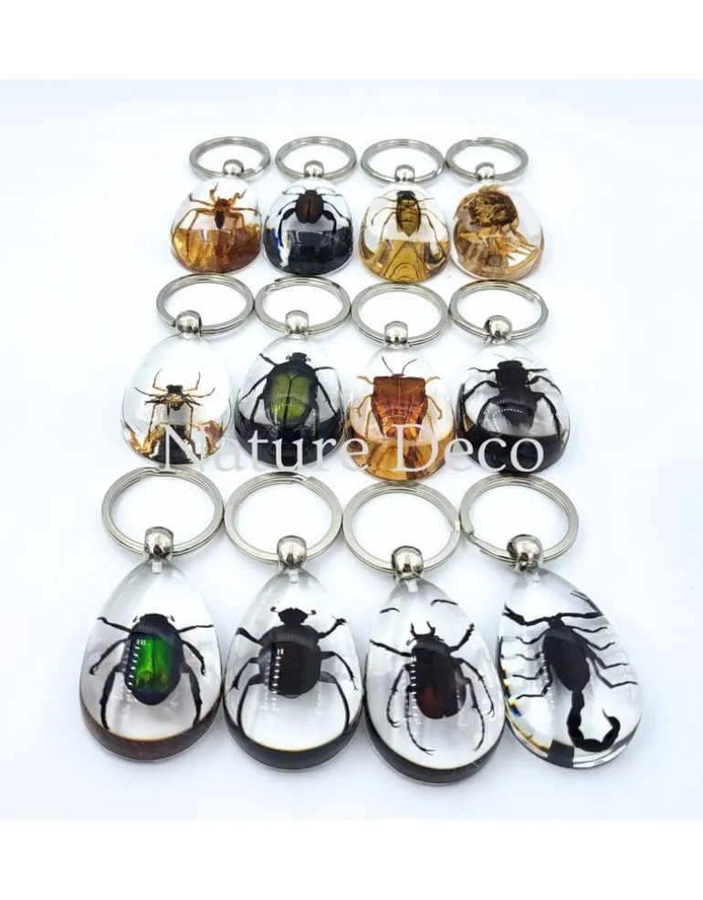 Insecten sleutelhanger #8