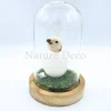 Kippen kuiken in LED stolp #1 (10cm x 15cm)