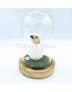 Kippen kuiken in LED stolp #1 (10cm x 15cm)