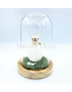 Kippen kuiken in LED stolp #1 (10cm x 15cm)