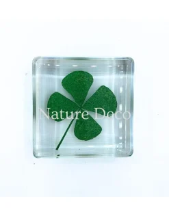 Klavertje vier in hars 3,5 x 3,5 x 1 cm