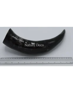 Koe Hoorn gepolijst ca 30cm