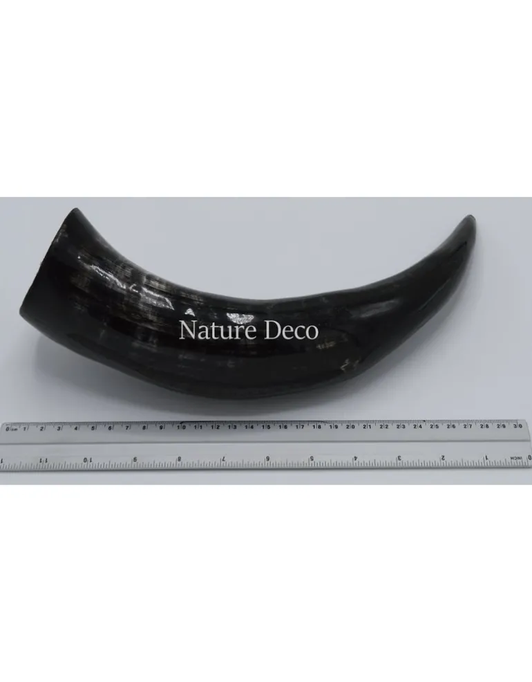 Koe Hoorn gepolijst ca 30cm