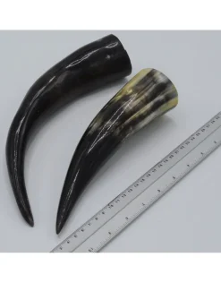 Koe Hoorn gepolijst ca 22-25cm