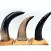 Koe hoorn gepolijst met houten voet 22cm
