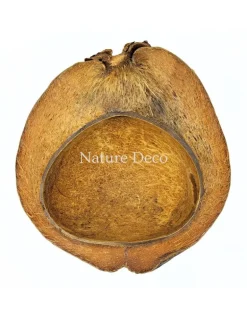 Kokosnootschaal (half)