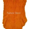 Konijnenvacht oranje