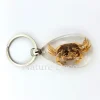 Krab sleutelhanger #1