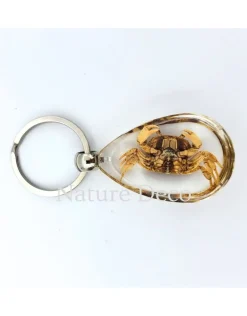 Krab sleutelhanger #1