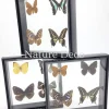 Lijst met 4 vlinders 20 x 20 x 4,5cm