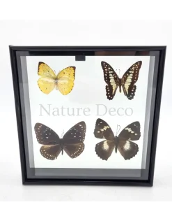 Lijst met 4 vlinders 20 x 20 x 4,5cm