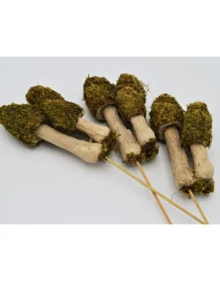 Mos paddenstoelen trio op een stokje