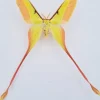 Ongeprepareerde Actias Dubernardi man (Chinese maanvlinder)