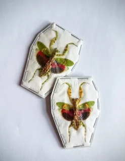 (On)geprepareerde Creobroter gemmatus