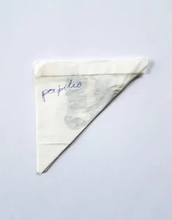 Ongeprepareerde Papilio Mechowianus