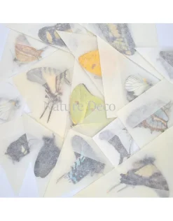 Ongeprepareerde Peru mix 10 stuks