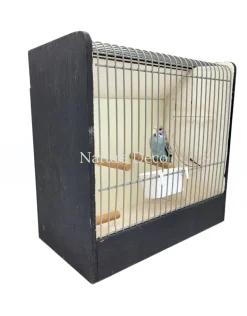 Opgezette blauwe grasparkiet in vogelkooi (Melopsittacus undulatus)