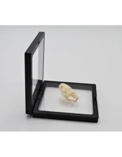 Plastic folie lijst met voet 11 x 11cm