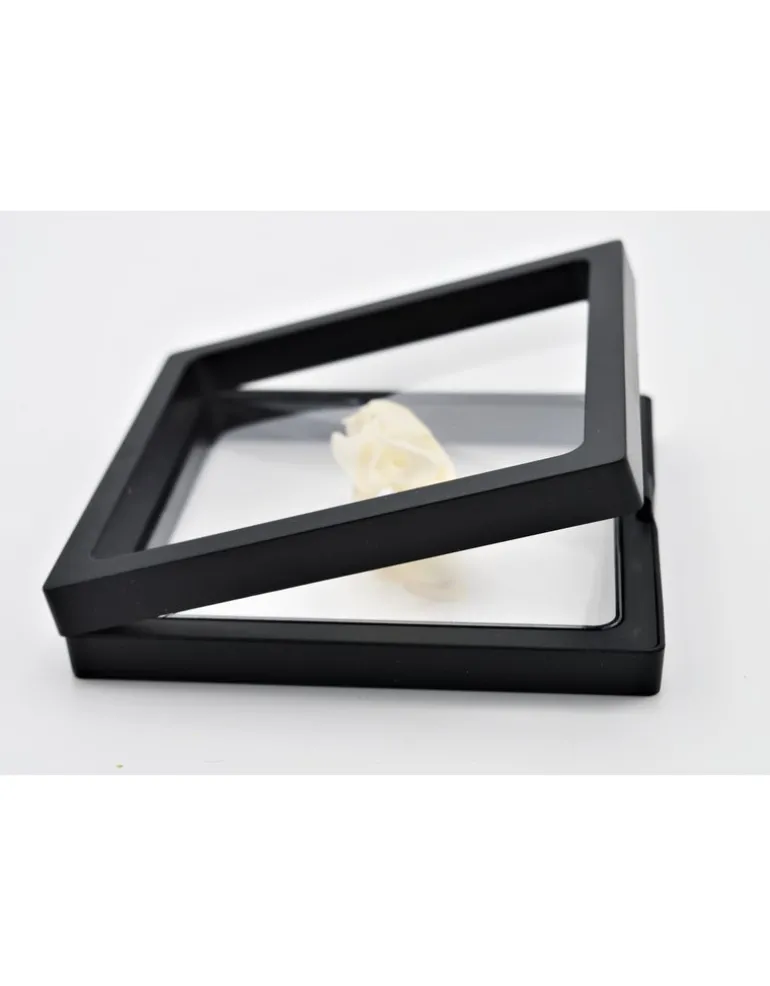Plastic folie lijst met voet 11 x 11cm