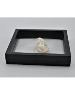 Plastic folie lijst met voet 11 x 11cm