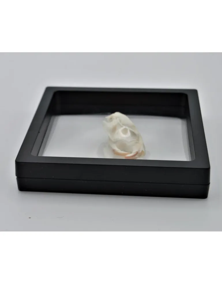 Plastic folie lijst met voet 11 x 11cm
