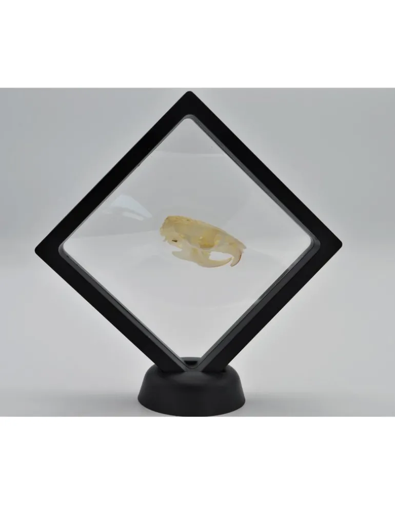 Plastic folie lijst met voet 11 x 11cm