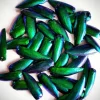 Prachtkever schildjes 100 gram (+-1000 stuks)