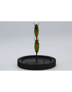 Prachtkevers in stolp 14 x 10cm