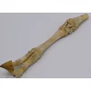 Ree poot assemblage vintage