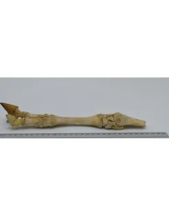 Ree poot assemblage vintage